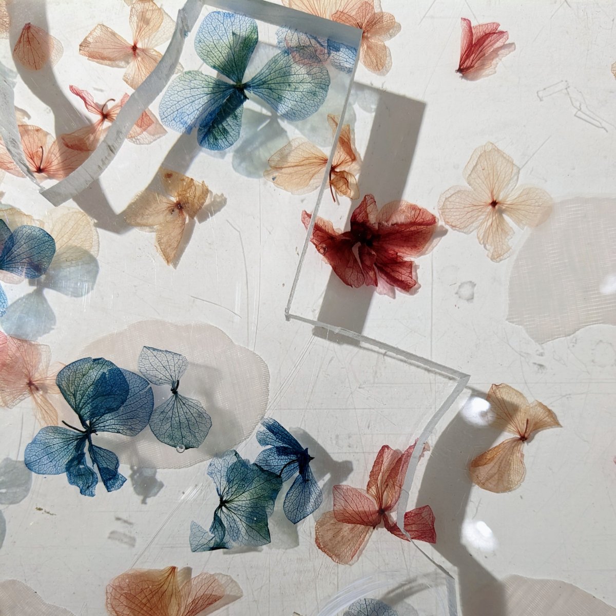 Chute de cristal de synthèse hortensias